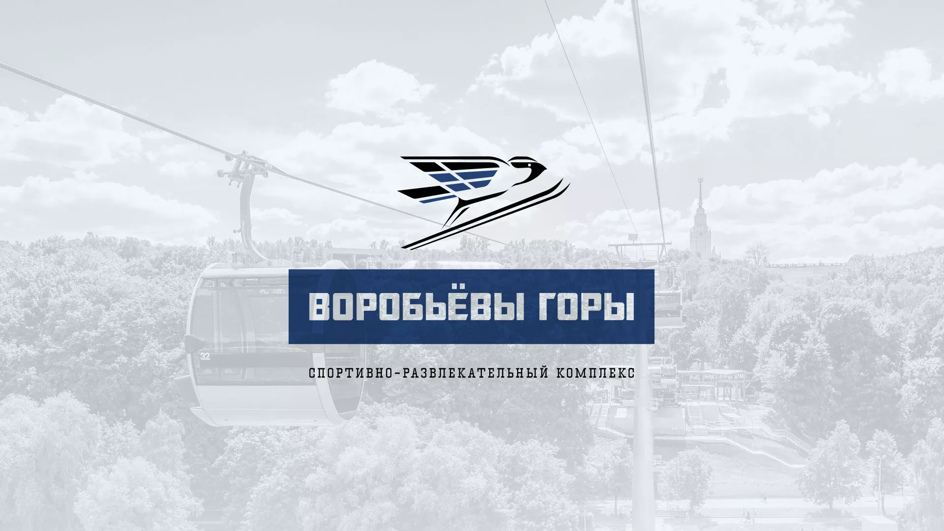 Разработка сайта в Малгобеке для спортивно-развлекательного комплекса «Воробьёвы горы»